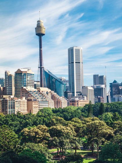 Sidney cityscape panorama and Hyde park view